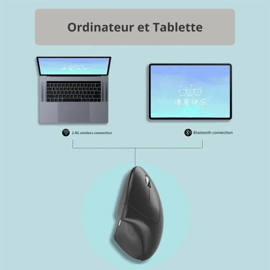 Souris bluetooth ergonomique rgb verticale connexion tablette ou ordinateur